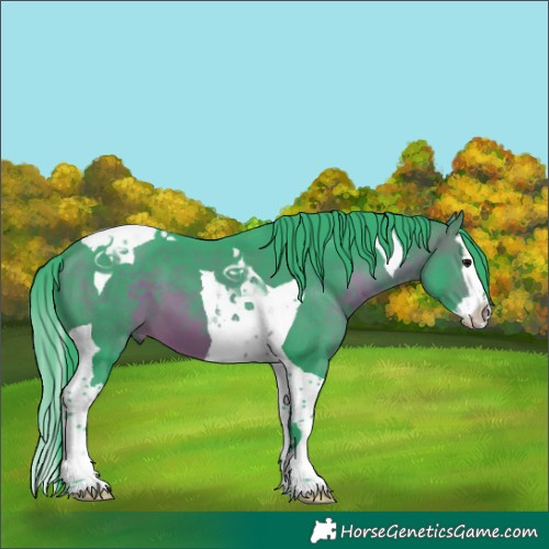 Horse Color:Watercolor Brown Splash Tobiano