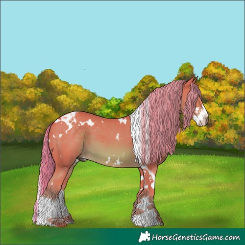 Horse Color:Watercolor White Spotted Chestnut Splash Tobiano 