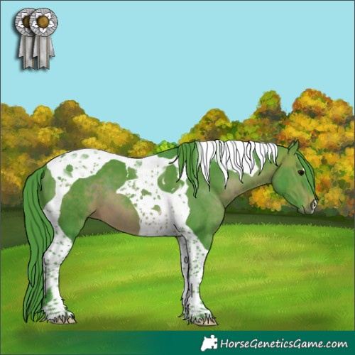 Horse Color:Watercolor Brown Tobiano