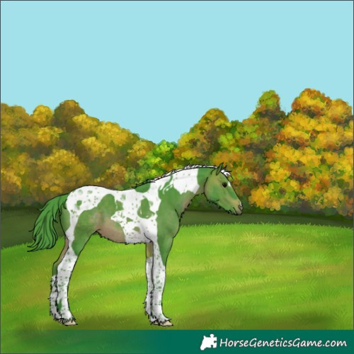 Horse Color:Watercolor Brown Tobiano 