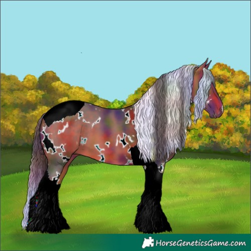Horse Color:Nacre White Spotted Bay Tobiano