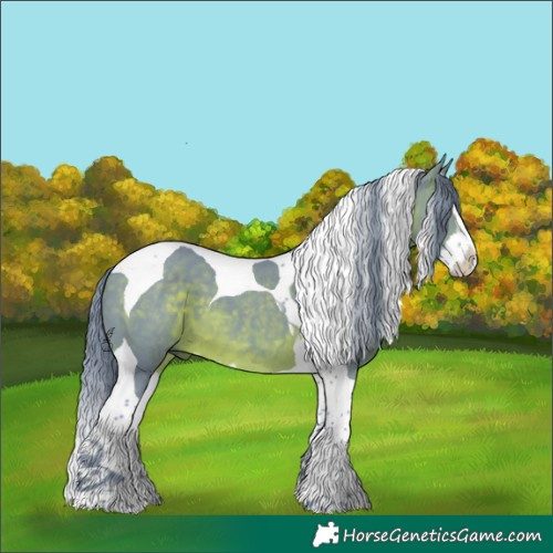 Horse Color:Watercolor Brown Splash Tobiano 