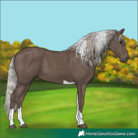 Horse Color:Silver Black Tobiano