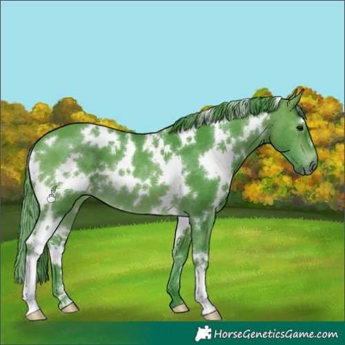 Horse Color:Watercolor White Spotted Brown 