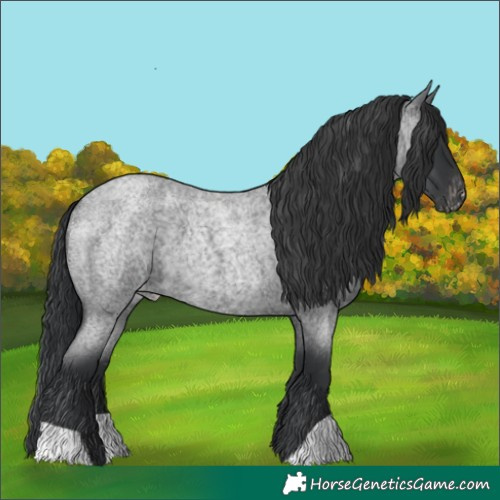 Horse Color:Blue Roan Varnish 
