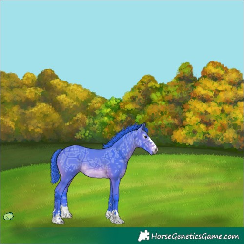 Horse Color:Unknown 