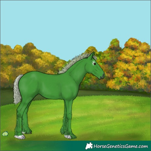 Horse Color:Unknown 