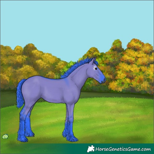 Horse Color:Unknown 