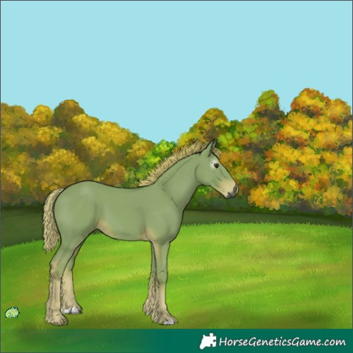 Horse Color:Unknown 