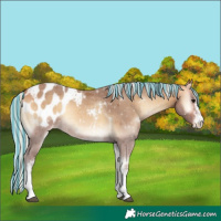 Horse Color:Painted Silver Buckskin Onyx Sabino Tobiano Blanket