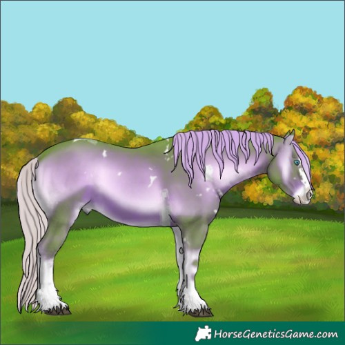 Horse Color:Watercolor White Spotted Liver Red Onyx Splash Tobiano