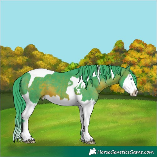 Horse Color:Watercolor Brown Splash Tobiano
