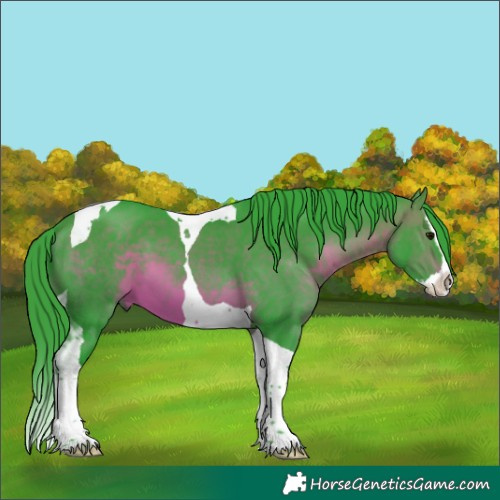 Horse Color:Watercolor Brown Splash Tobiano 