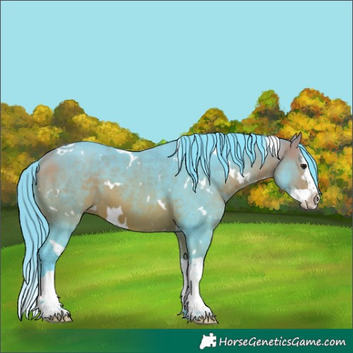 Horse Color:Watercolor White Spotted Bay Splash