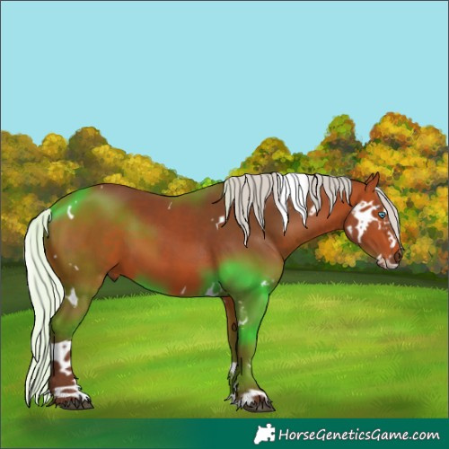 Horse Color:White Spotted Silver Bay Splash Tobiano Rabicano 