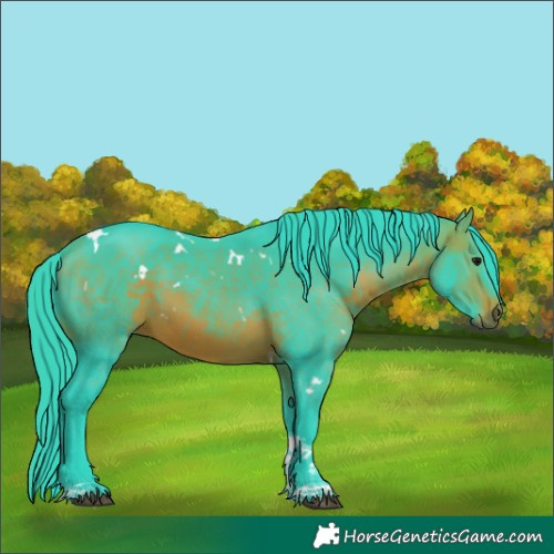 Horse Color:Watercolor White Spotted Brown Tobiano 