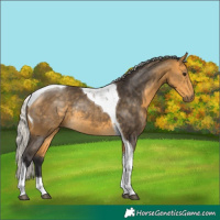 Horse Color:Silver Buckskin Tobiano Rabicano