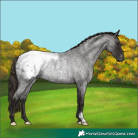 Horse Color:Liver Red Roan Snowcap Rabicano