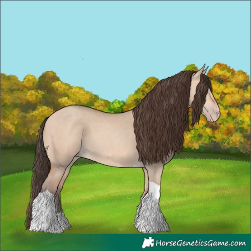 Horse Color:Amber Champagne Dun Tobiano 