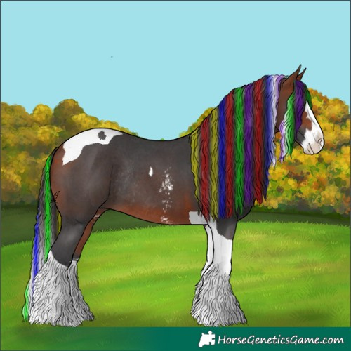 Horse Color:Painted Bay Sabino Splash Tobiano Rabicano