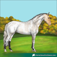 Horse Color:White Spotted Silver Buckskin Roan Dun Varnish Rabicano