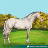 Horse Color:Silver Buckskin Roan Varnish