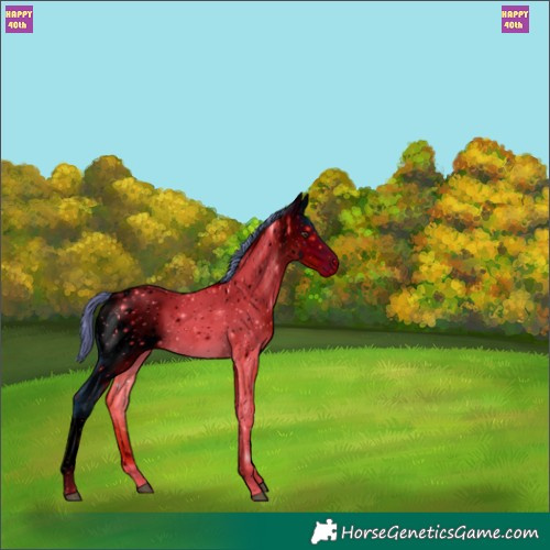 Horse Color:ERROR: UNKNOWN ANOMALY