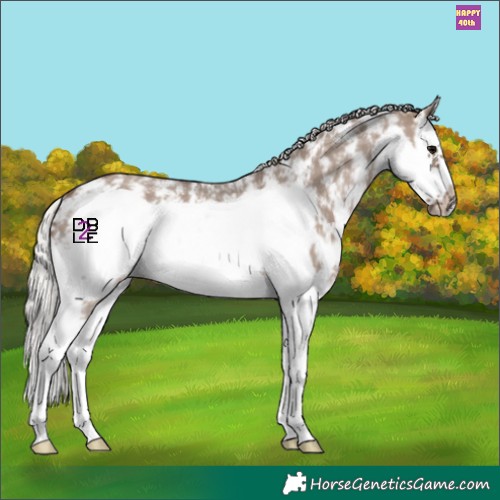 Horse Color:Silver Grullo Sabino Splash Frame