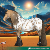 Horse Color:White Spotted Buckskin Blanket Rabicano 
