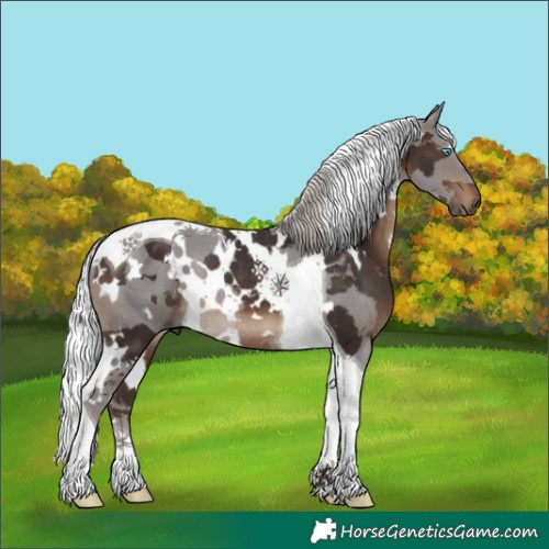 Horse Color:White Spotted Silver Brown Merle Tobiano Rabicano 