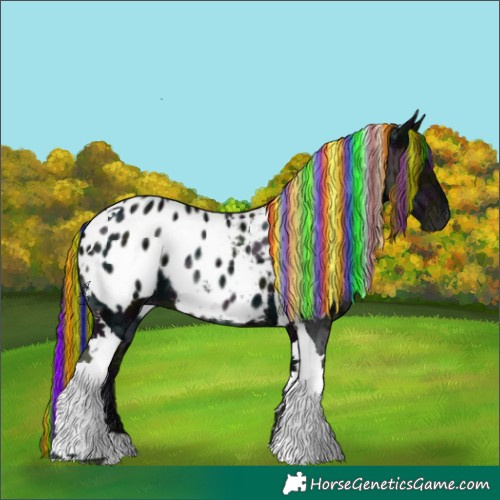 Horse Color:Gray Painted Midnight Liver Chestnut Ice Tobiano Appaloosa