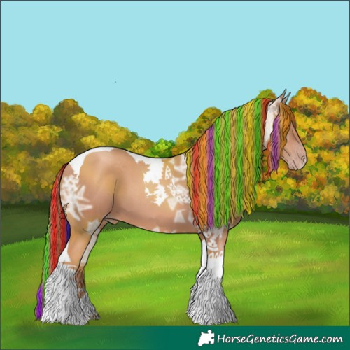 Horse Color:Unknown 