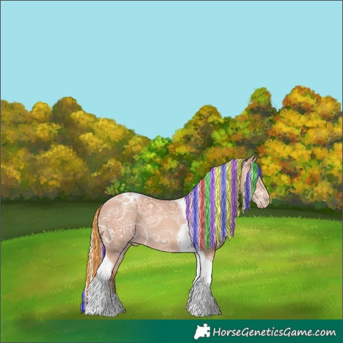Horse Color:Unknown 