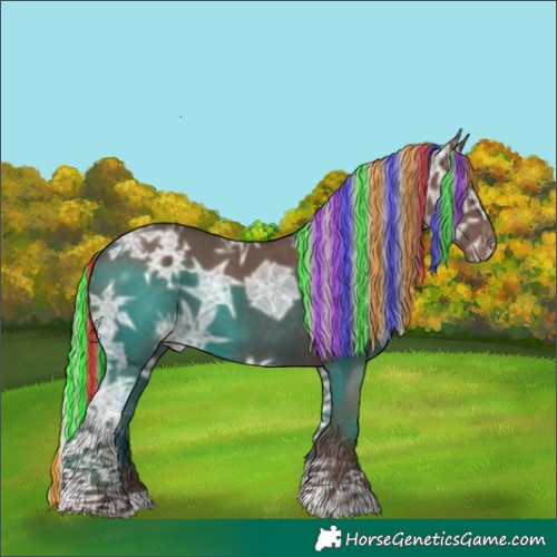 Horse Color:Unknown 