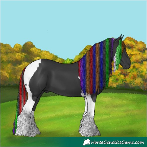Horse Color:Unknown 