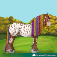 Horse Color:Gray Painted Gold Champagne Ice Tobiano Appaloosa