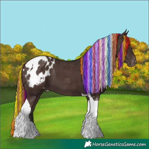Horse Color:Unknown 