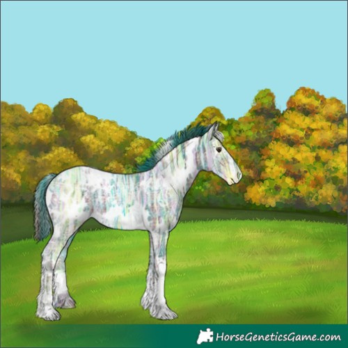 Horse Color:Plaid  White Spotted Liver Chestnut Ice 