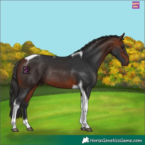 Horse Color:Bay Tobiano Rabicano