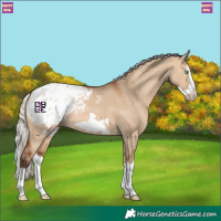 Horse Color:Silver Bay Dun Splash Frame Blanket Rabicano 