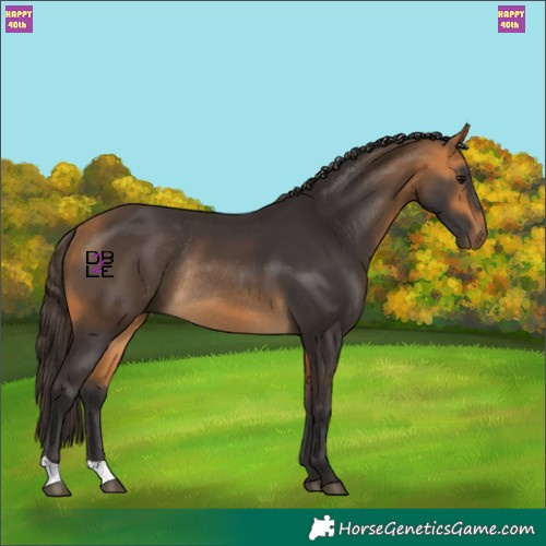 Horse Color:Buckskin Rabicano 