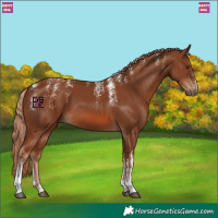 Horse Color:Powder White Chestnut