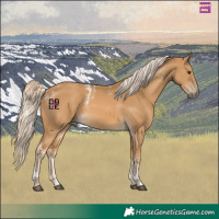Horse Color:Powder White Palomino