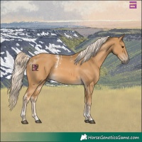 Horse Color:Powder White Palomino