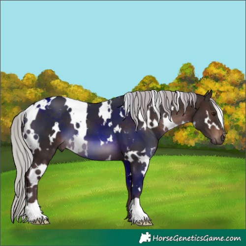Horse Color:White Spotted Silver Brown 