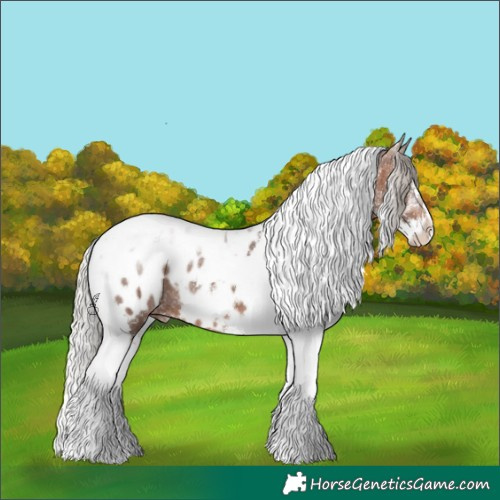 Horse Color:White Spotted Silver Bay Splash Tobiano Blanket Rabicano