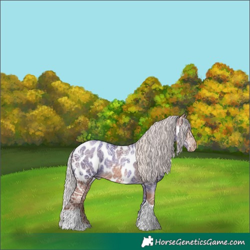 Horse Color:Chocolate Silver Black Ice Pearl Tobiano Near Leopard Rabicano