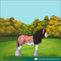 Horse Color:Gray Sable Champagne Ice Splash 