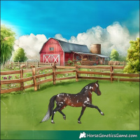 Horse Color:White Spotted Brown Rabicano 