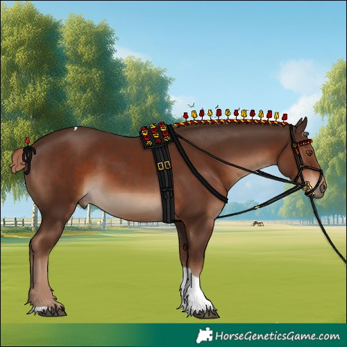 Horse Color:Liver Chestnut Tobiano